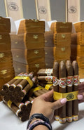 Ambassador